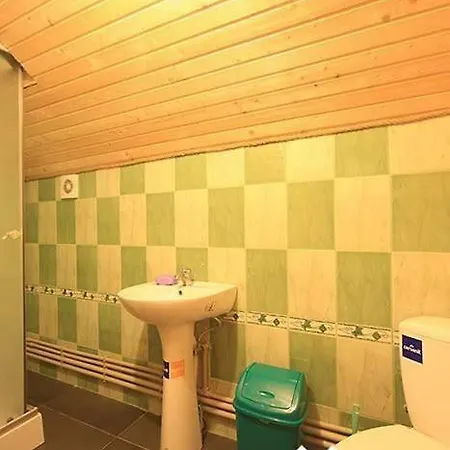 Apartment славний гуцул & чани джакузі