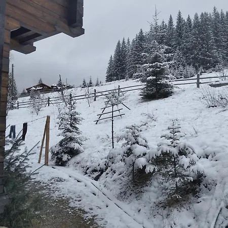 Apartment славний гуцул & чани джакузі *