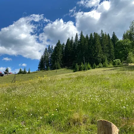 Apartment славний гуцул & чани джакузі