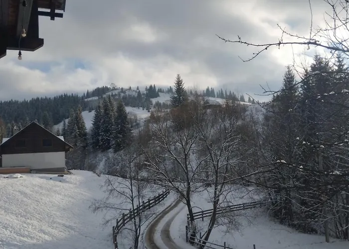 Апартаменты славний гуцул&спа чани джакузі *